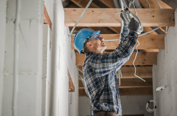 Best Ceiling Fan Installation Electrician  in Brighton, MI